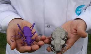 Up close and personal with the CSIRO printed titanium bugs. Image courtesy of CSIRO media release