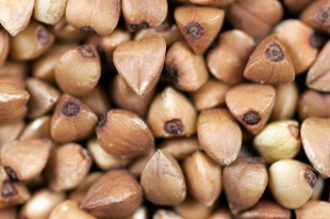 Buckwheat seeds are gluten-free Image credit: Flickr user Ervins Strauhmanis
