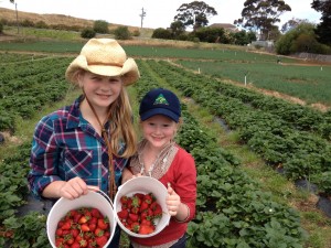 Kids with Australian Grown strawberries Image courtesy of Australian Made