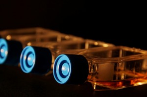 Tissue culture flasks Image credit: flickr User: Adam Dunlop
