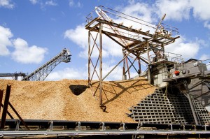 Pulp mill, Tasmania Image credig: flickr User: Lizardstomp