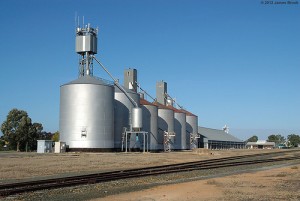 Graincorp silos at Deniliquin Image credit: flickr User: VRfan