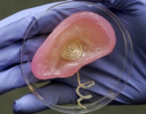3D-printed bionic ear Image credit: flickr User: PTB2011