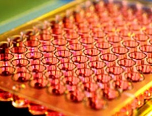 Image credit: www.csiro.au