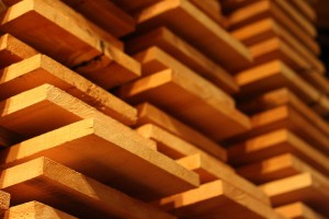 SA Government to provide a $10.46m grant to grow forest and wood industry