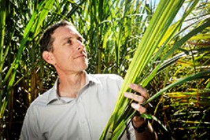 From waste to wealth: agricultural waste could unlock multi-billion dollar manufacturing industry in Australia