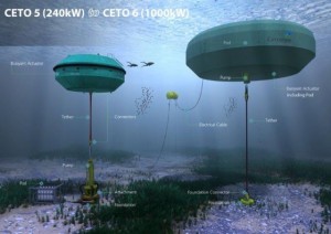 Image credit: Carnegie Wave Energy website