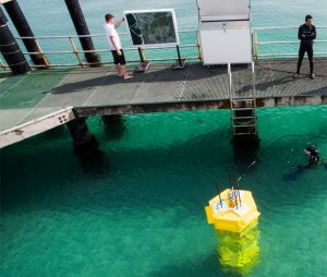 Demonstration of singe Protean WEC at Coogee beach WA Image credit: www.proteanwaveenergy.com