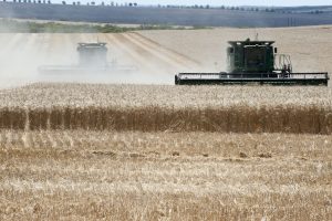 Wheat harvesting on Bob PRESTON’S farm at Mingenew Image credit: www.agric.wa.gov.au