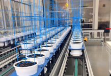 New plant facility to boost and safeguard Victoria’s grain industry