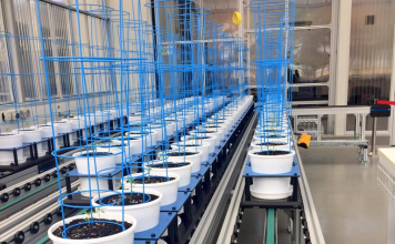 New plant facility to boost and safeguard Victoria’s grain industry