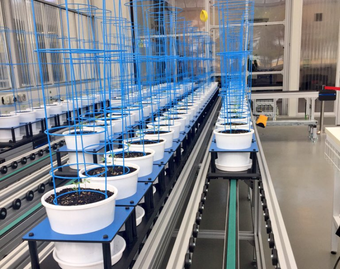 Plant Phenomics Victoria2