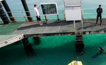 Protean Wave Energy successfully deploys pilot WEC at Port of Bunbury