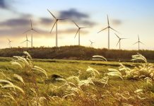 AGL Coopers Gap Wind Farm moves step closer to construction
