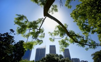Broad community collaboration could transform Adelaide into world’s first carbon neutral city, Minister says