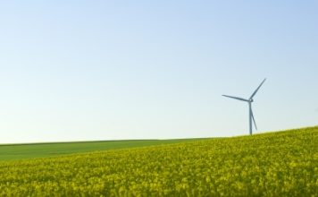 ACCIONA Energy and Windlab to build two new wind farms in Victoria