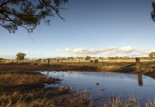 Victoria slaps permanent ban on fracking