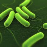 Developing protective coating to fight off superbugs