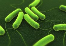 Developing protective coating to fight off superbugs