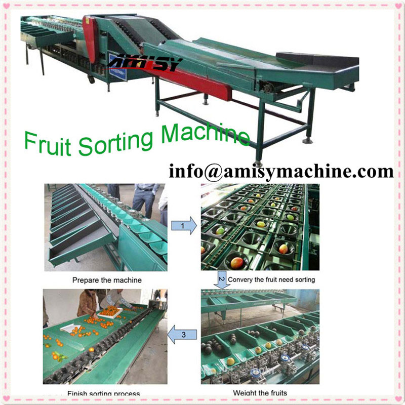 Automatic Fruit Sorting Machine