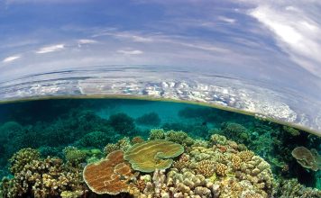 AIMS and Boeing Australia pool resources to protect the Great Barrier Reef