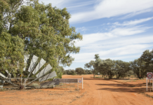Cameco receives environmental approval for Yeelirrie uranium project