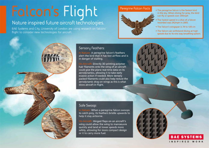 mai-falcon-research-714px