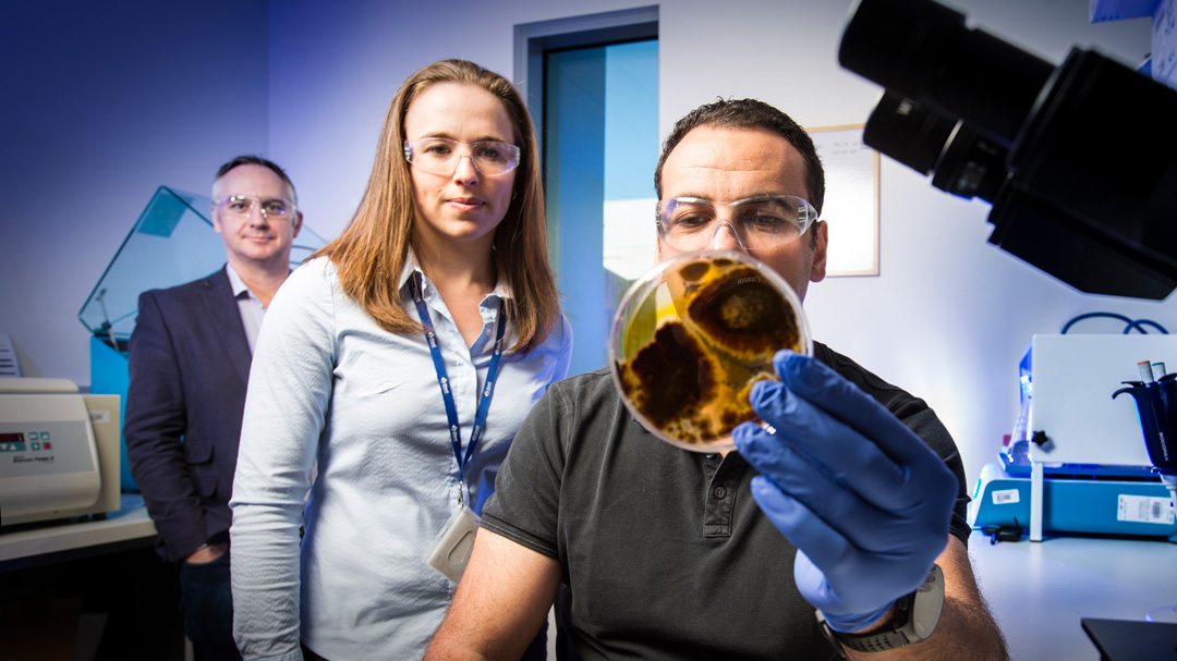 New ecofriendly coating solution to benefit marine industry and healthcare Australian