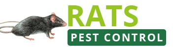 Rats Removal Perth