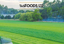 TasFoods Group acquires Tasmanian cheesemaker Pyengana Dairy