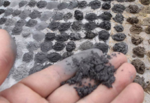 Kibaran announces plan to construct graphite manufacturing plant in Germany