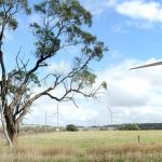 Construction begins on huge new wind farm in Victoria