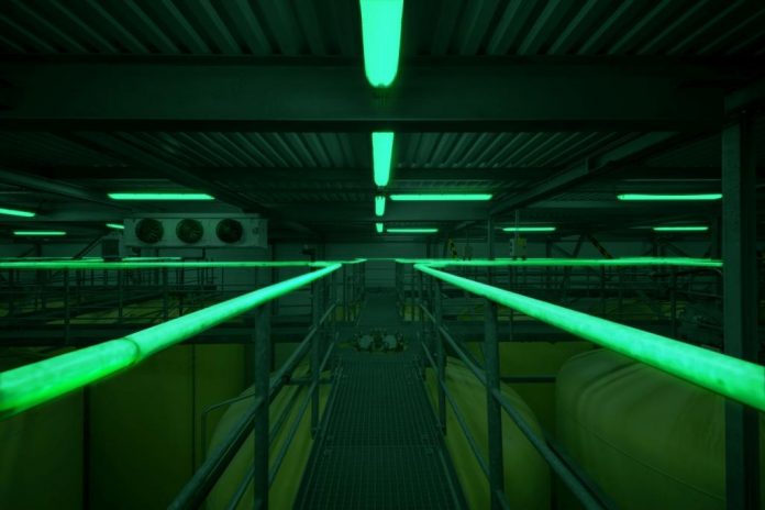 Glo-X Mining Tank Rails