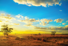 CSIRO develops clean gold recovery technology