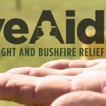 National Campaign Launched to Save Bees and Beekeepers as Drought and Bushfire Wreak Havoc