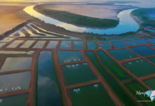 Iconic NT food producer completes first stage of expansion