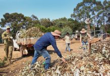 Minderoo Foundation Provides Funds and Resources to Bushfire Response, Recovery and Resilience