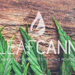 Three medicinal cannabis cultivation and manufacturing facilities secure Major Project Status