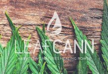 Three medicinal cannabis cultivation and manufacturing facilities secure Major Project Status