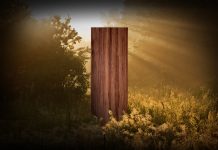 Bosch secures global 3RT contract to transform wood waste into sustainable hardwood