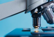 Breakthrough research in poliovirus structure may lead to more targeted development of antiviral drugs