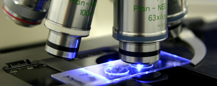 Case-Studies-Biomedical