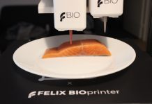 FELIXPrinters assists in commercialisation of vegan-friendly 3D printed salmon