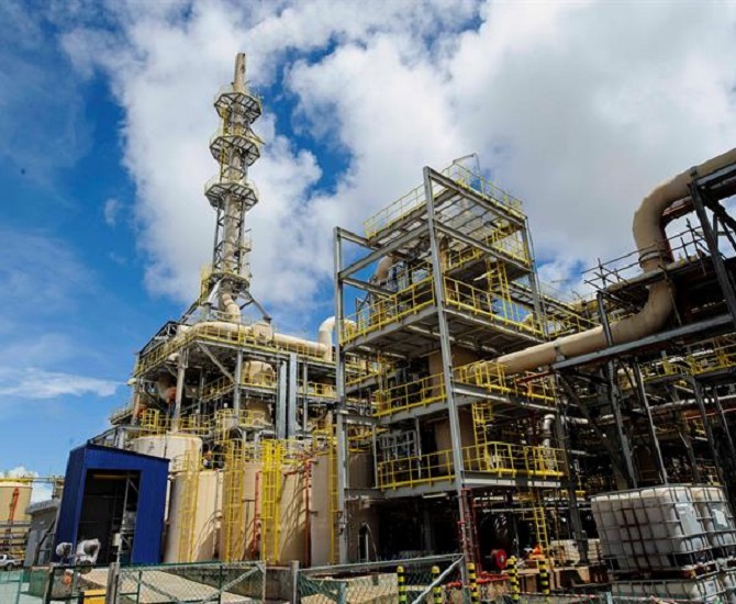 LynasPlant