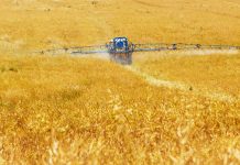 Businesses called to think outside the box to solve environmental challenges