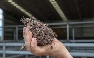 New Aussie company brings game-changing livestock feed additive to market