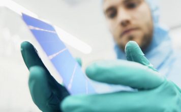 Aussie start-up emerges as leader on next-gen solar cells