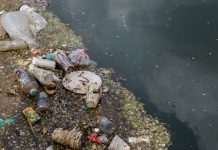 Chemistry Australia partners with CSIRO on its Mission to end plastic waste