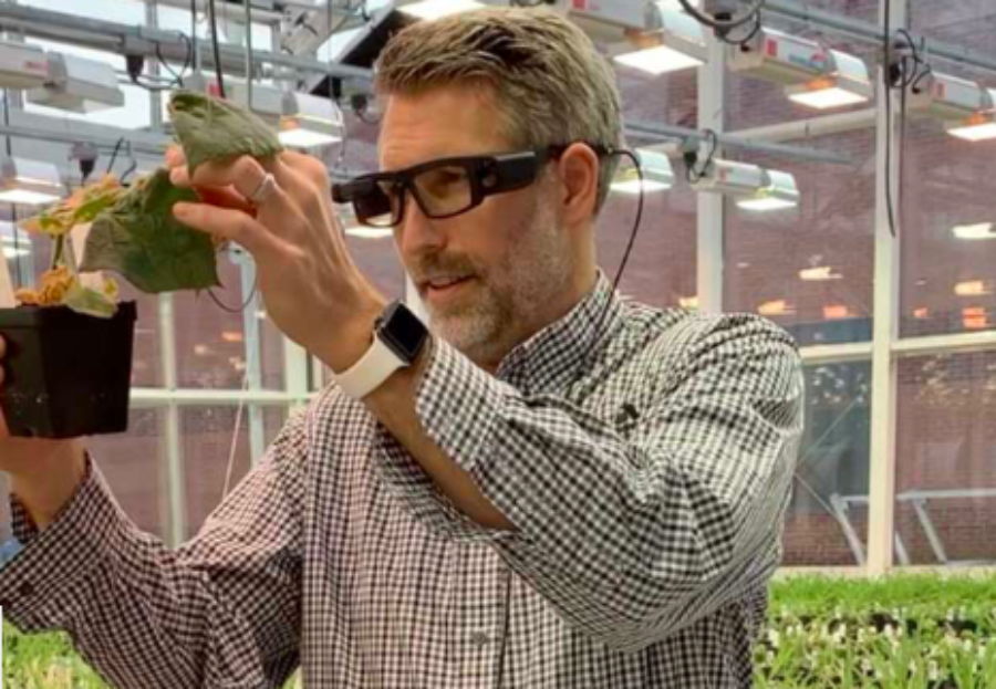 Smart glasses for industry use? Harvest Technology, Iristick NV join