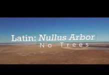 Nanollose joins forces with Grasim to develop high-tenacity fibre tech